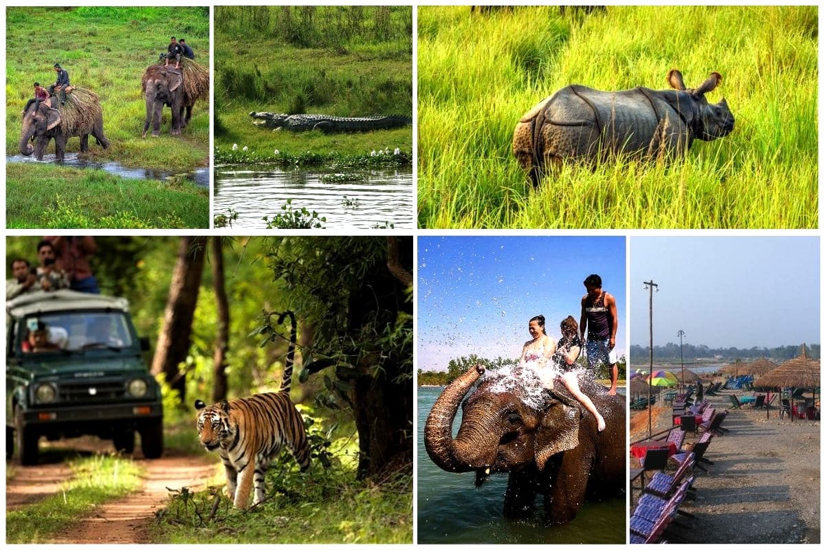 Chitwan 2 Night 3 Day Adventure Tour