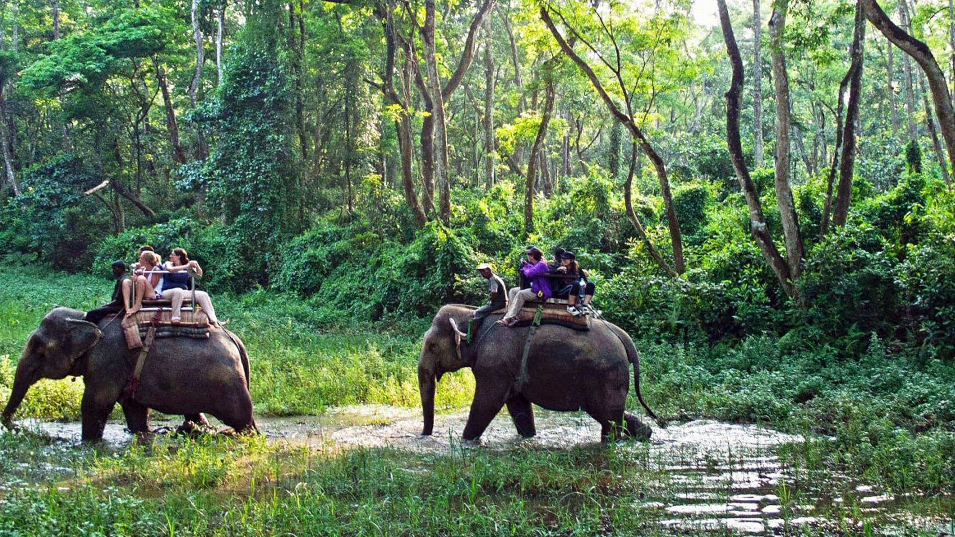 Chitwan 3 Nights 4 Days Tour