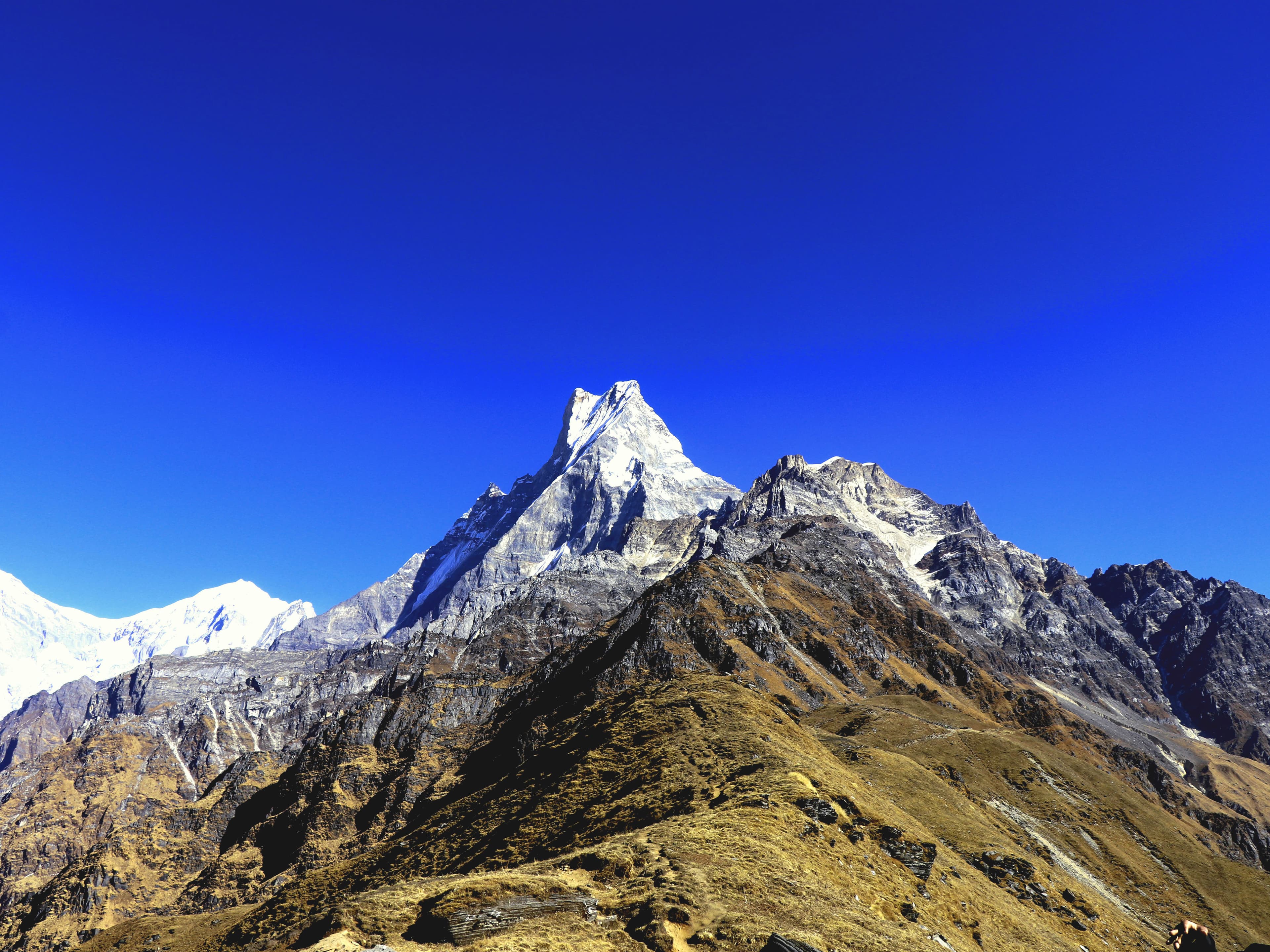 Image of a popular package