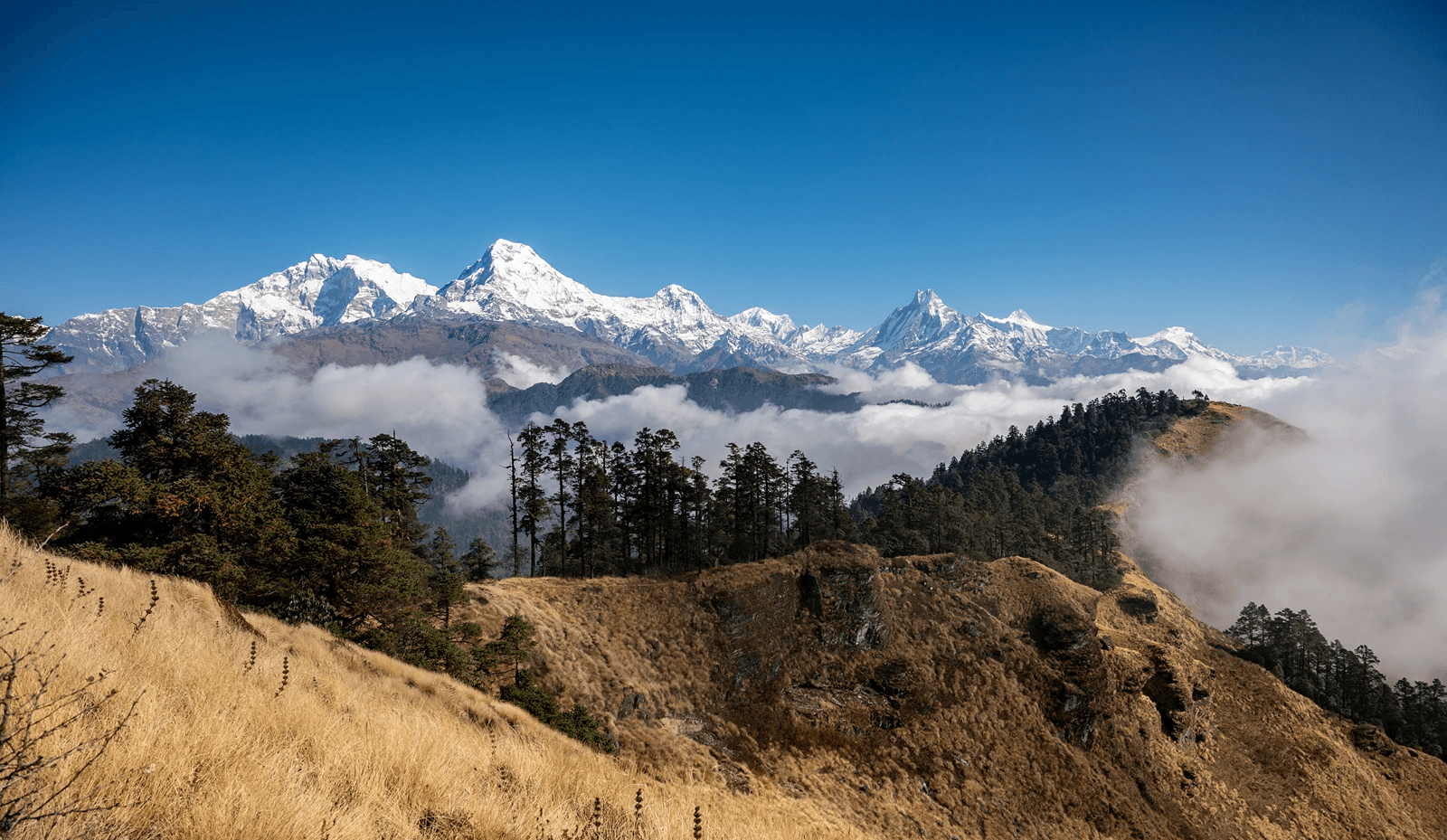 Mohore Danda with Poonhill Trek