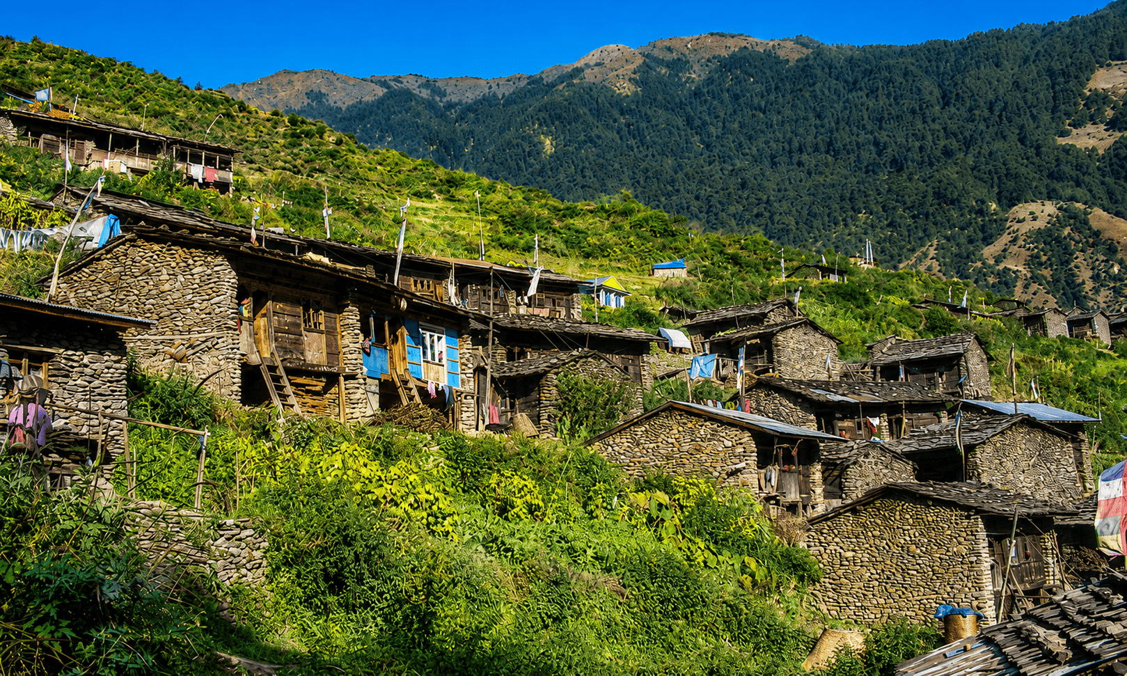 Langtang Tamang Heritage Trek